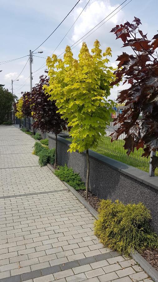 Apartament Angelo Sosnowiec Exteriör bild